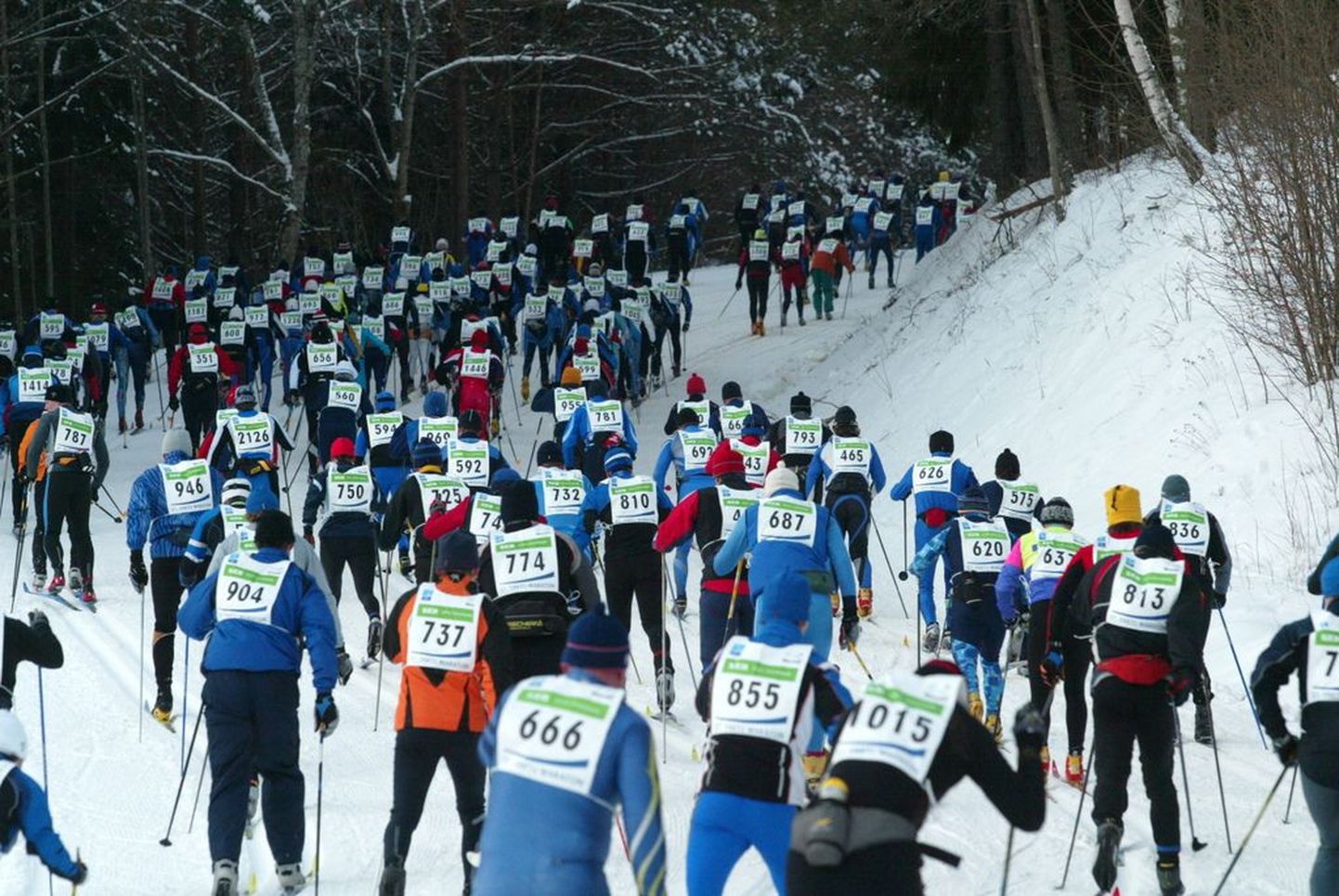 Pildil on 2007. aasta Tartu maraton suusatajad..