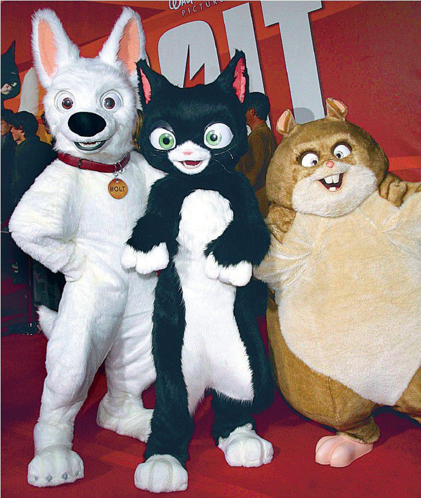 Animafilmi esilinastusel USAs poseerisid Välk (vasakult), kass Käpik ja hamster Sarvik.