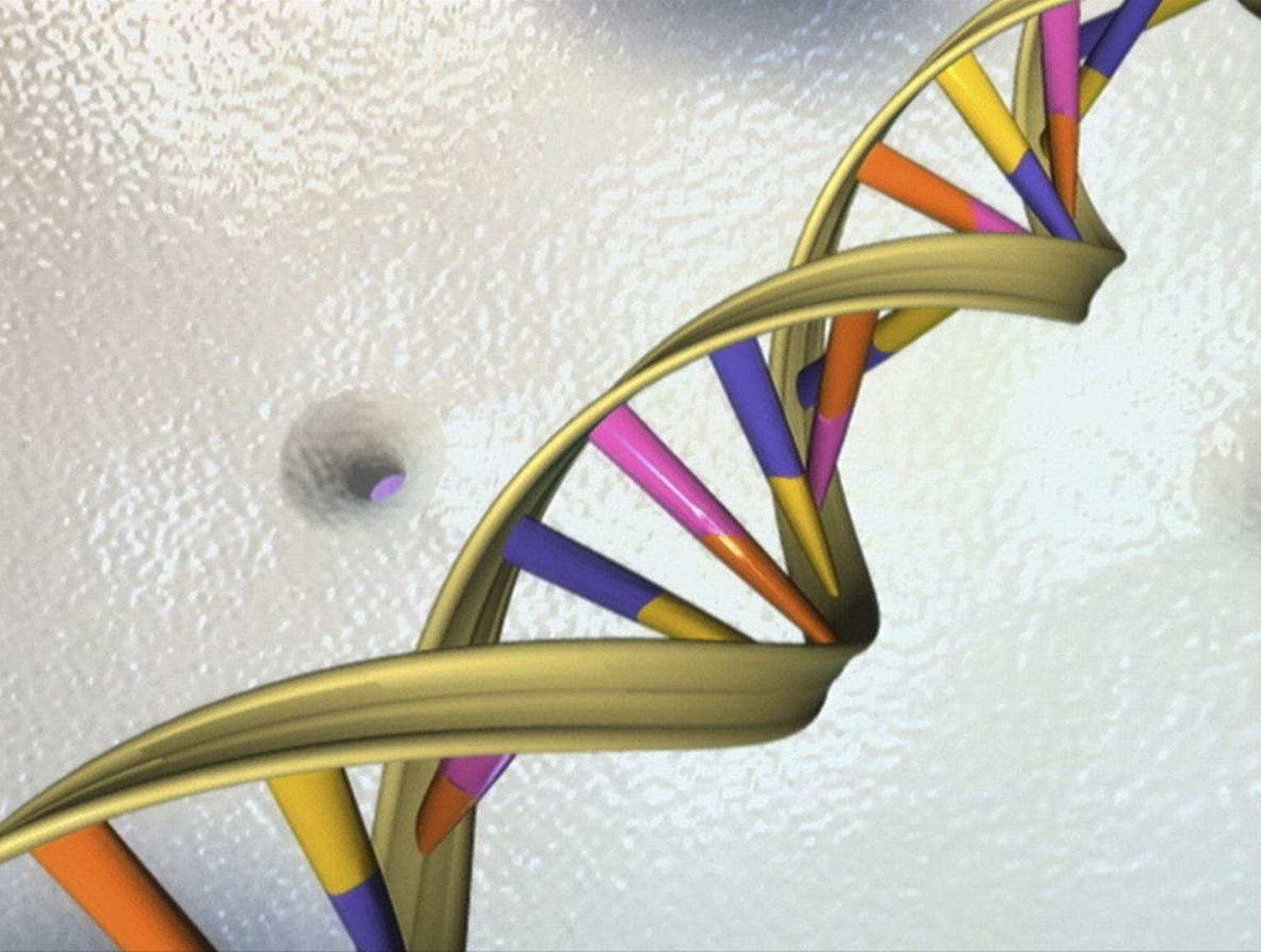 DNA topeltheeliks