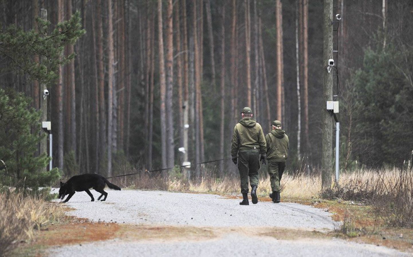 Пограничники и служебная собака патрулируют границу в Южной Эстонии.