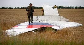 Hollandi politsei konfiskeeris ajakirjanikult MH17 hukupaiga esemeid