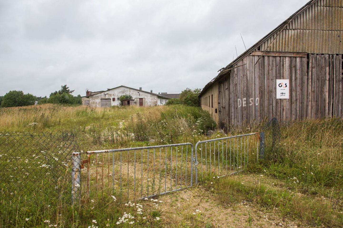 Aastaid Väätsa Agrolt Röa sigalakompleksi rentinud Rakvere Farmid on nüüd selle omanik, kuid edasised  ehitusplaanid on siiski veel lahtised.