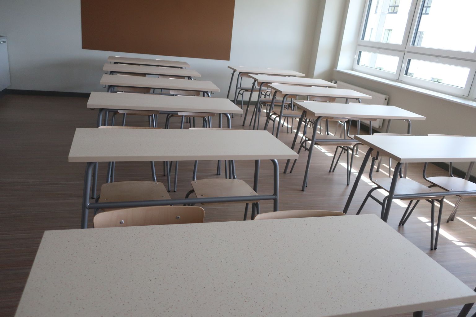 Õpilased kooli tagasi: valitsuse otsuse järgi taastub alates 11. jaanuarist õpe tavapärases vormis. Harju- ja Ida-Virumaal kehtivad teised reeglid.