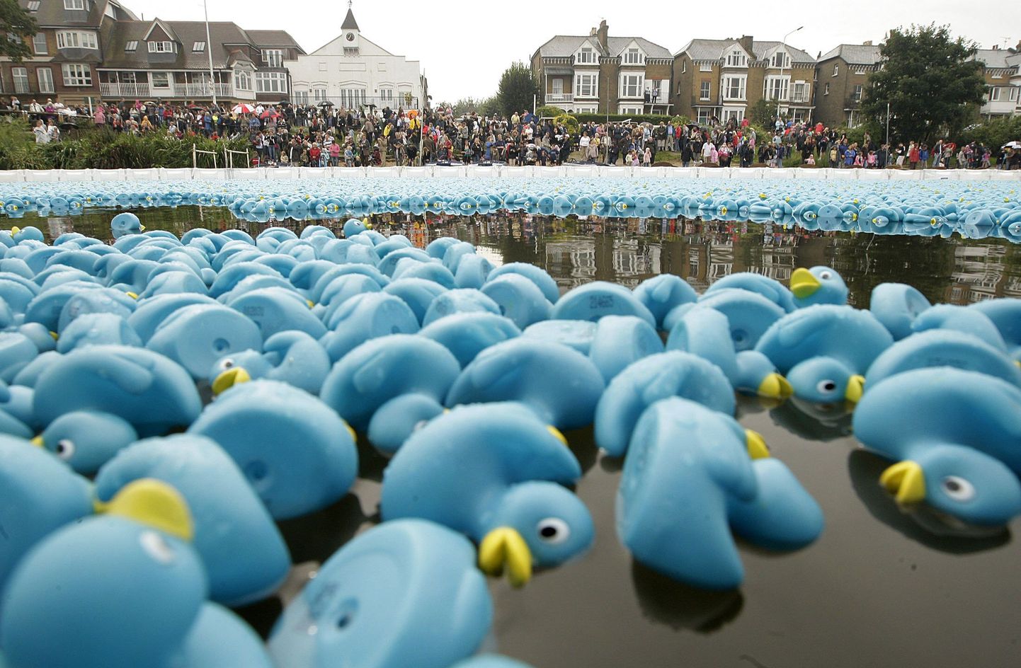 The Great British Duck Race`il osales 250 000 sinist plastikparti