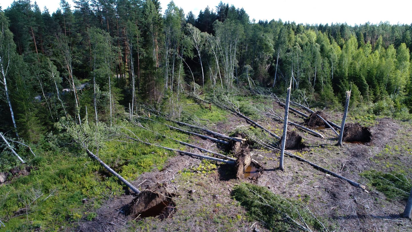 Suure-Jaani vallas Kootsil oli tormi ajal kilomeetrisele lõigule murdunud kümneid puid.