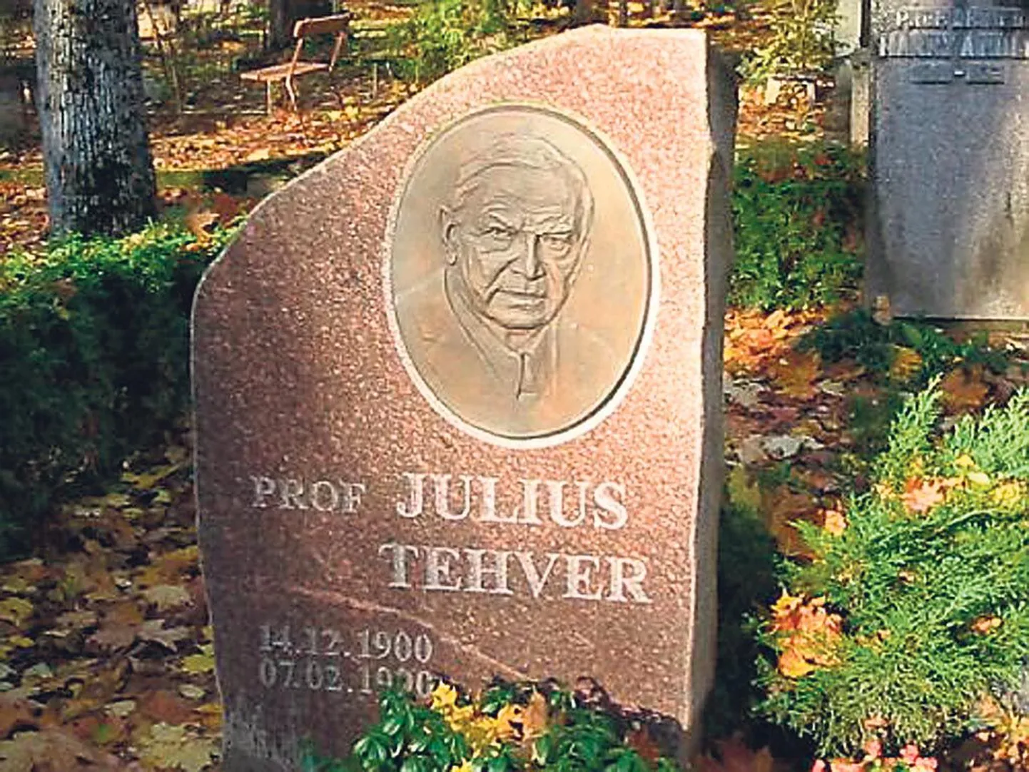 Koduloomade histoloogia süstemaatika loonud professor Tehveri hauatähis Tartus.