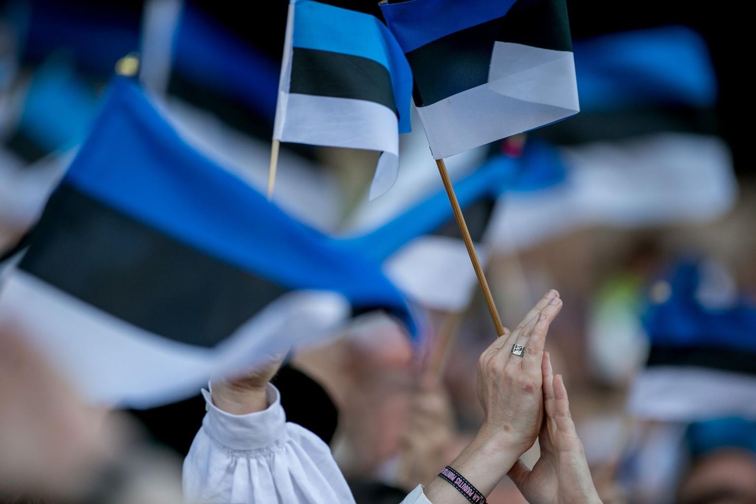 Eesti lipud.