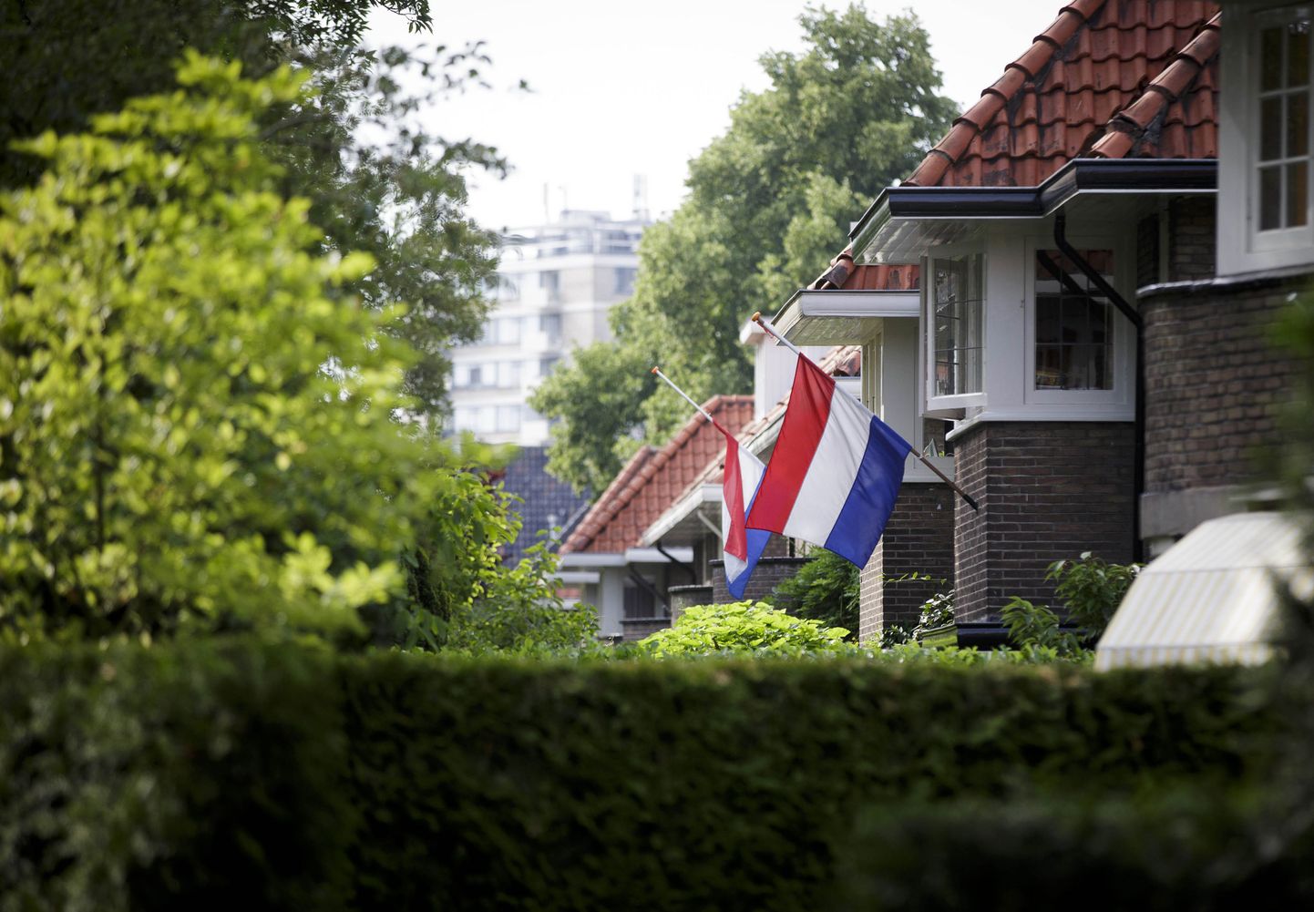 Приспущенные флаги Нидерландов.