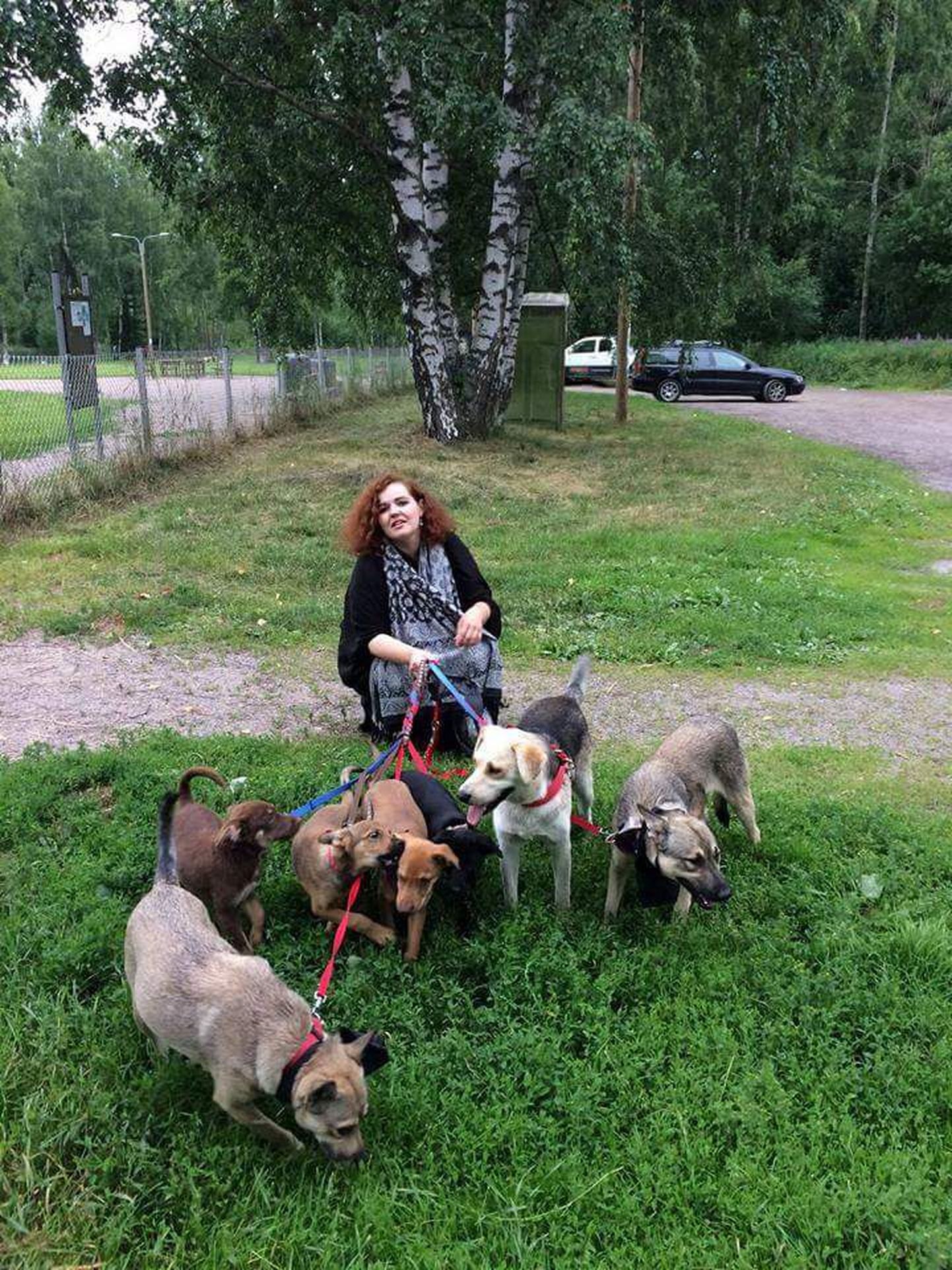 Встретившая собак в Хельсинки Дина передаст их новым заботливым хозяевам.
