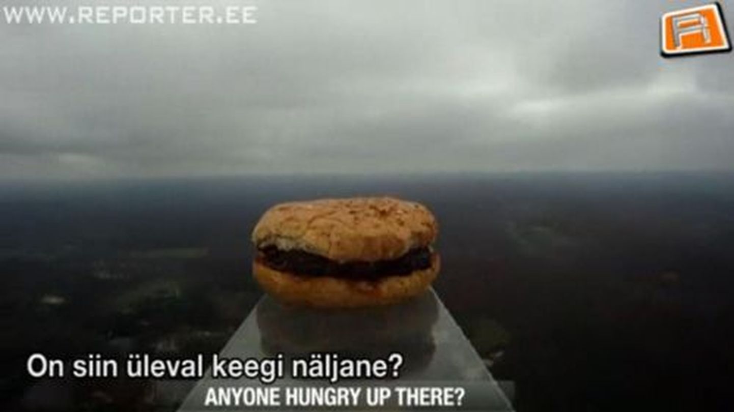 Hamburger lennutati 30 kilomeetri kõrgusele