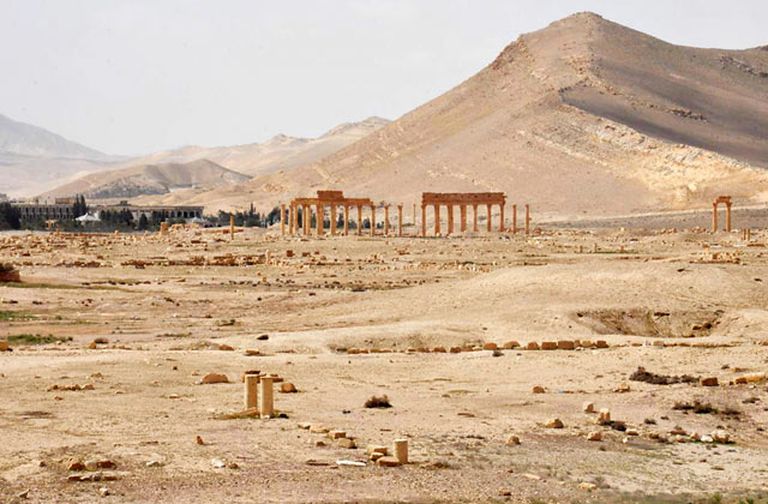 Palmīras ainava