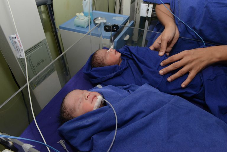 Asendusema sünnitatud kaksikud Indias. Foto: Reuters/Scanpix