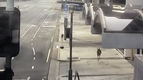 ����: rus.postimees.ee