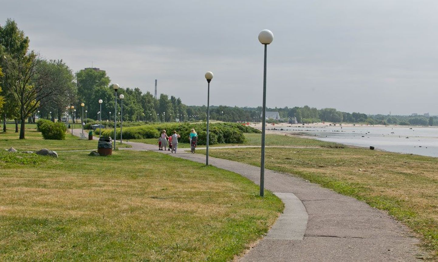 Дорожки вдоль моря на таллиннской Штромке.