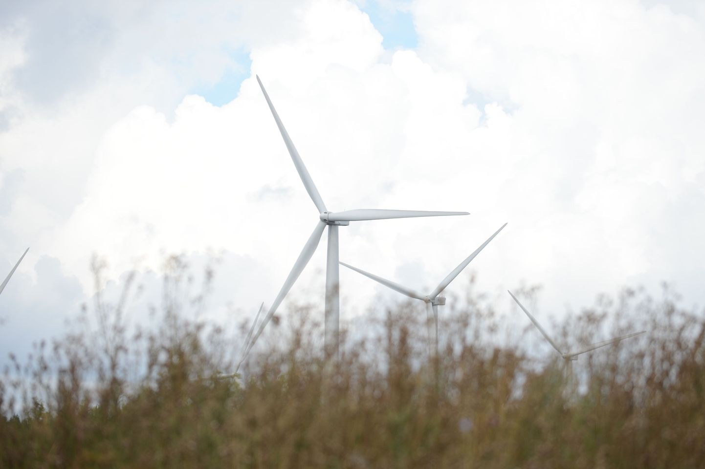 Eesti Energia ja Nelja Energia uue tuulepargi avamine