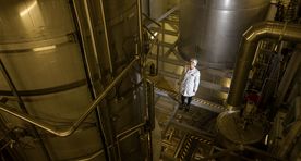 Estonian companies looking at new opportunities in Canada