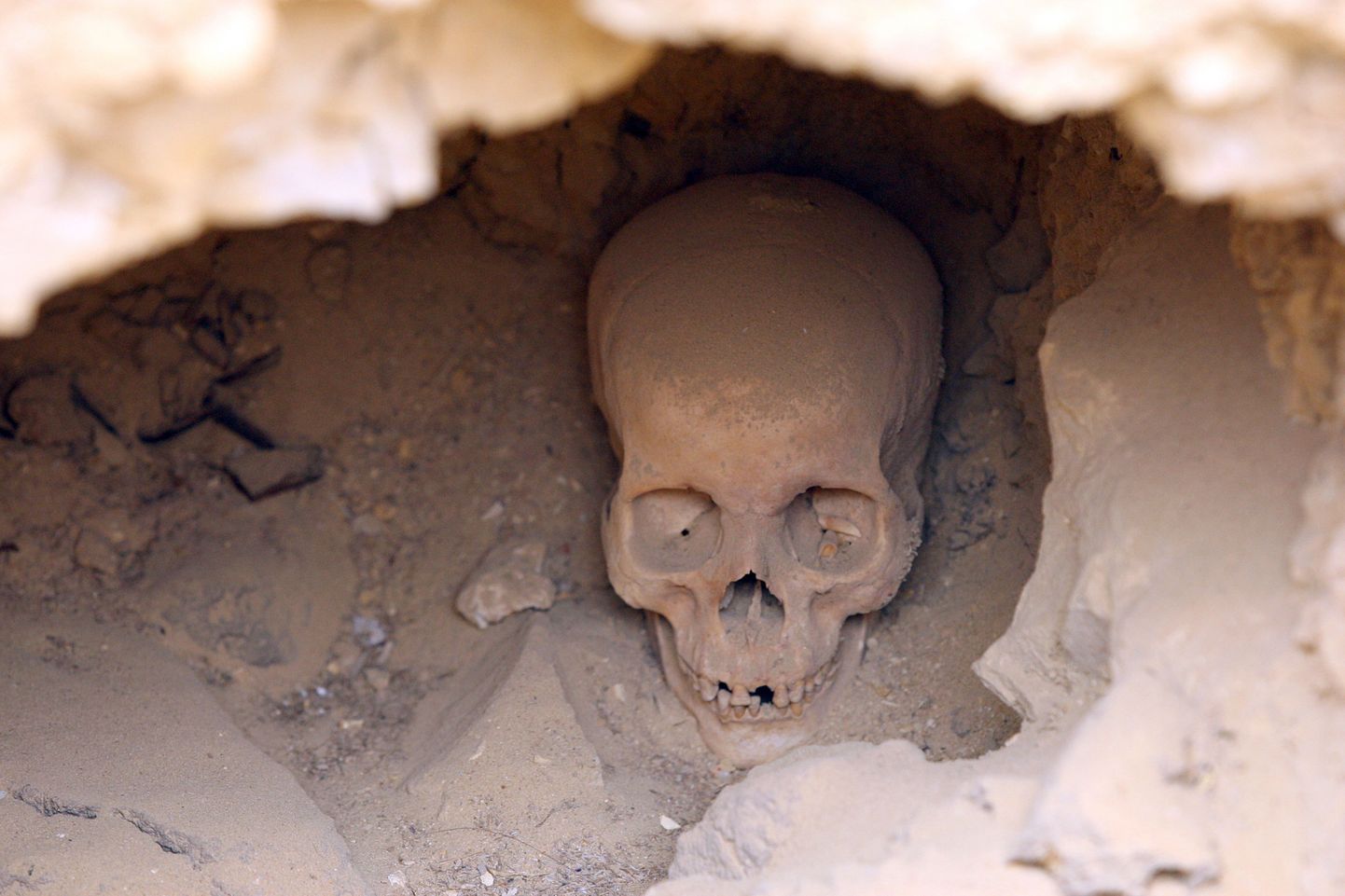 Türgist leiti 4000-aastane ära keenud aju