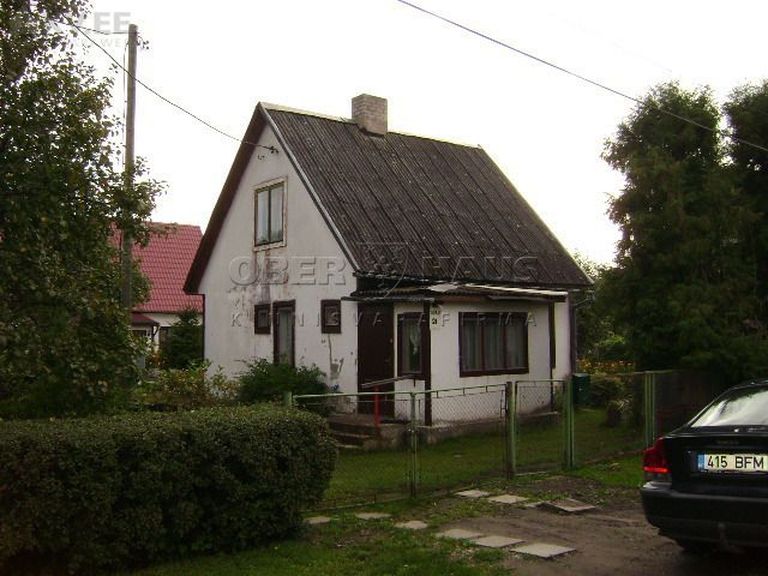 Maja Kiviõlis