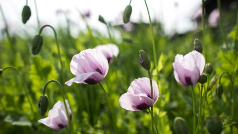 ����: rus.postimees.ee