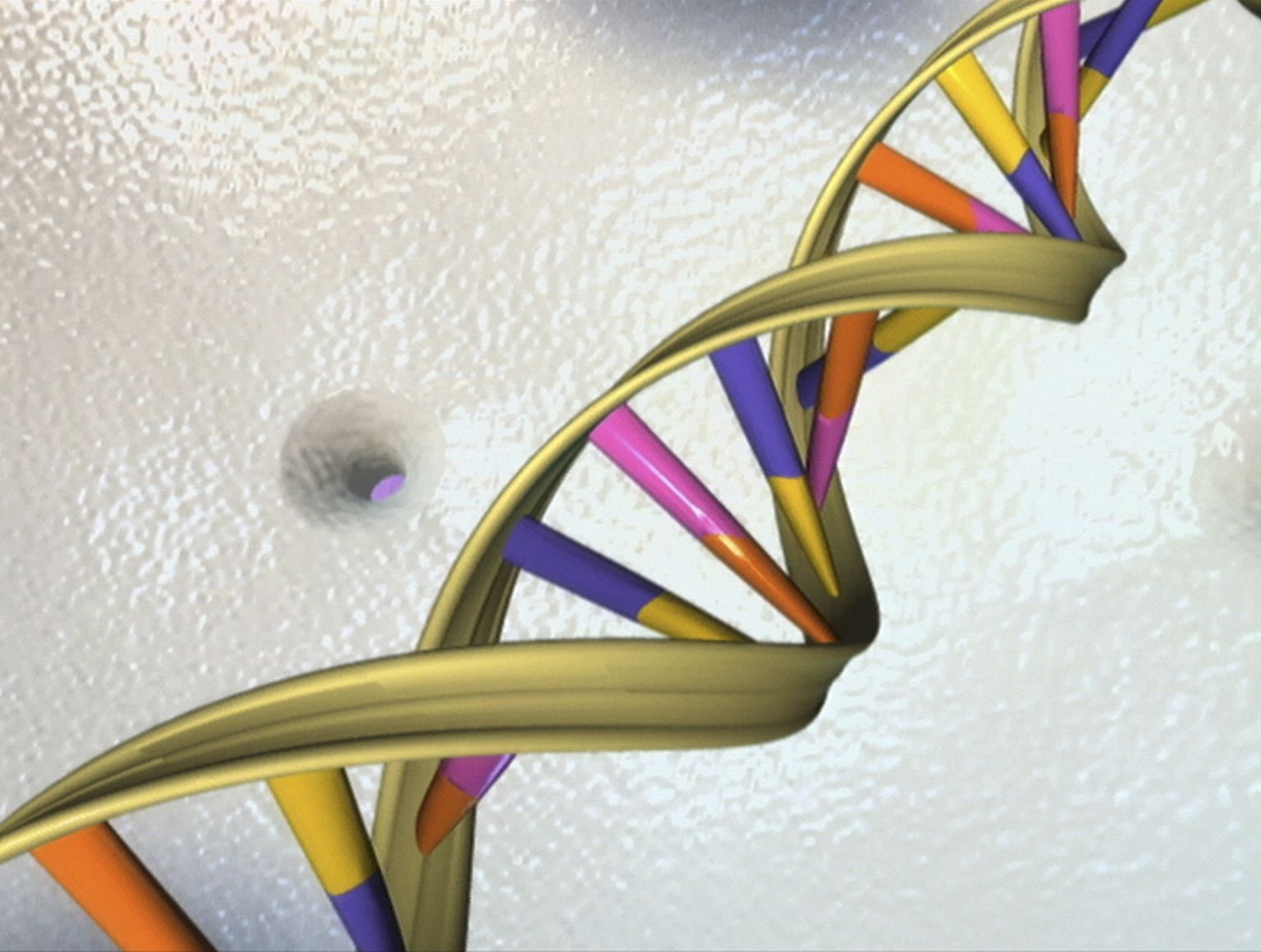 DNA kaksikheeliks.