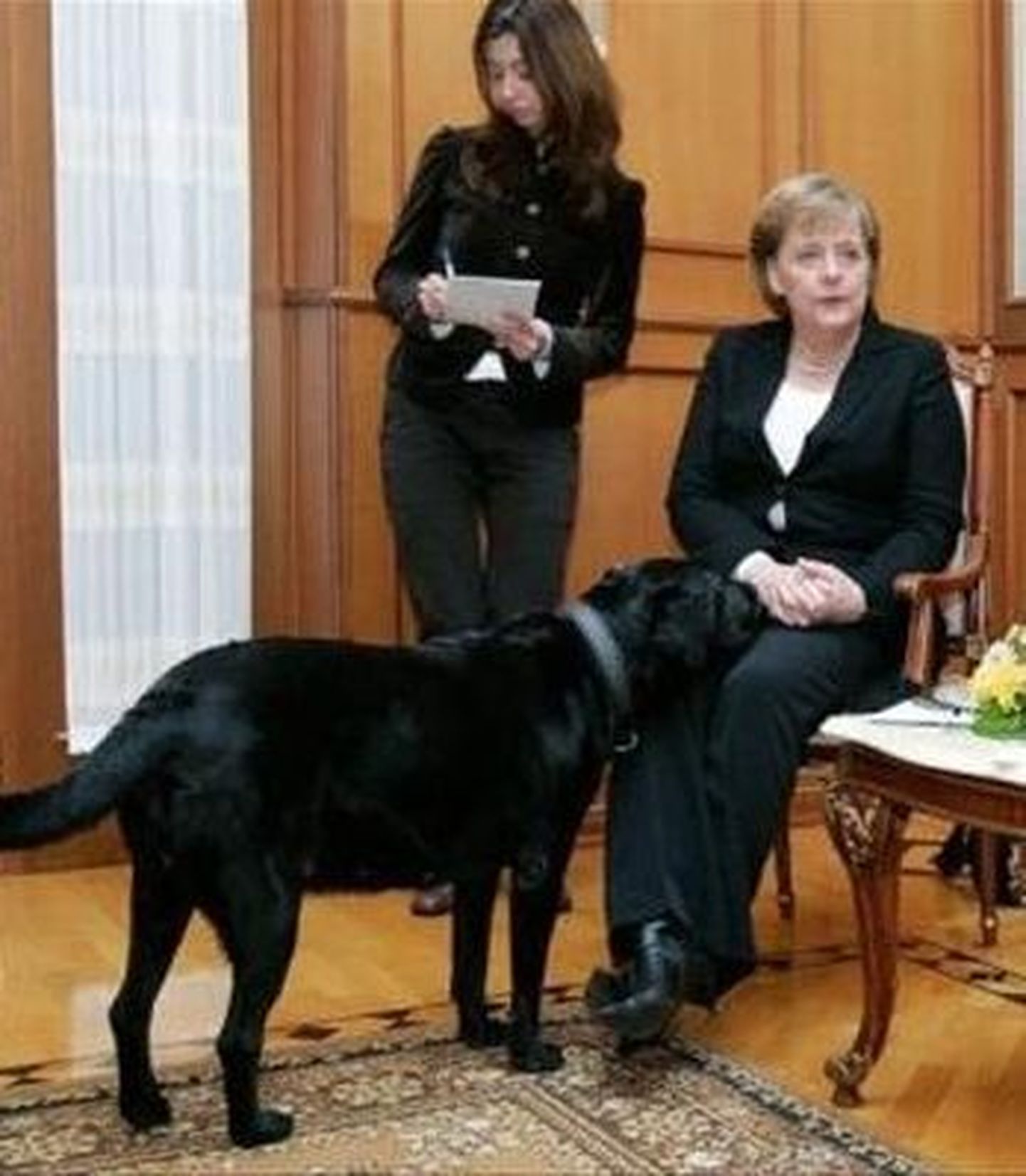 Angela Merkel ja labrador