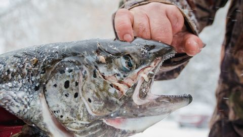  ����� ������ �������� ������ ������� ������� ���� 