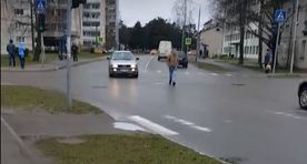 Прибалтика, одним словом! Чудак на проезжей части позабавил прохожих