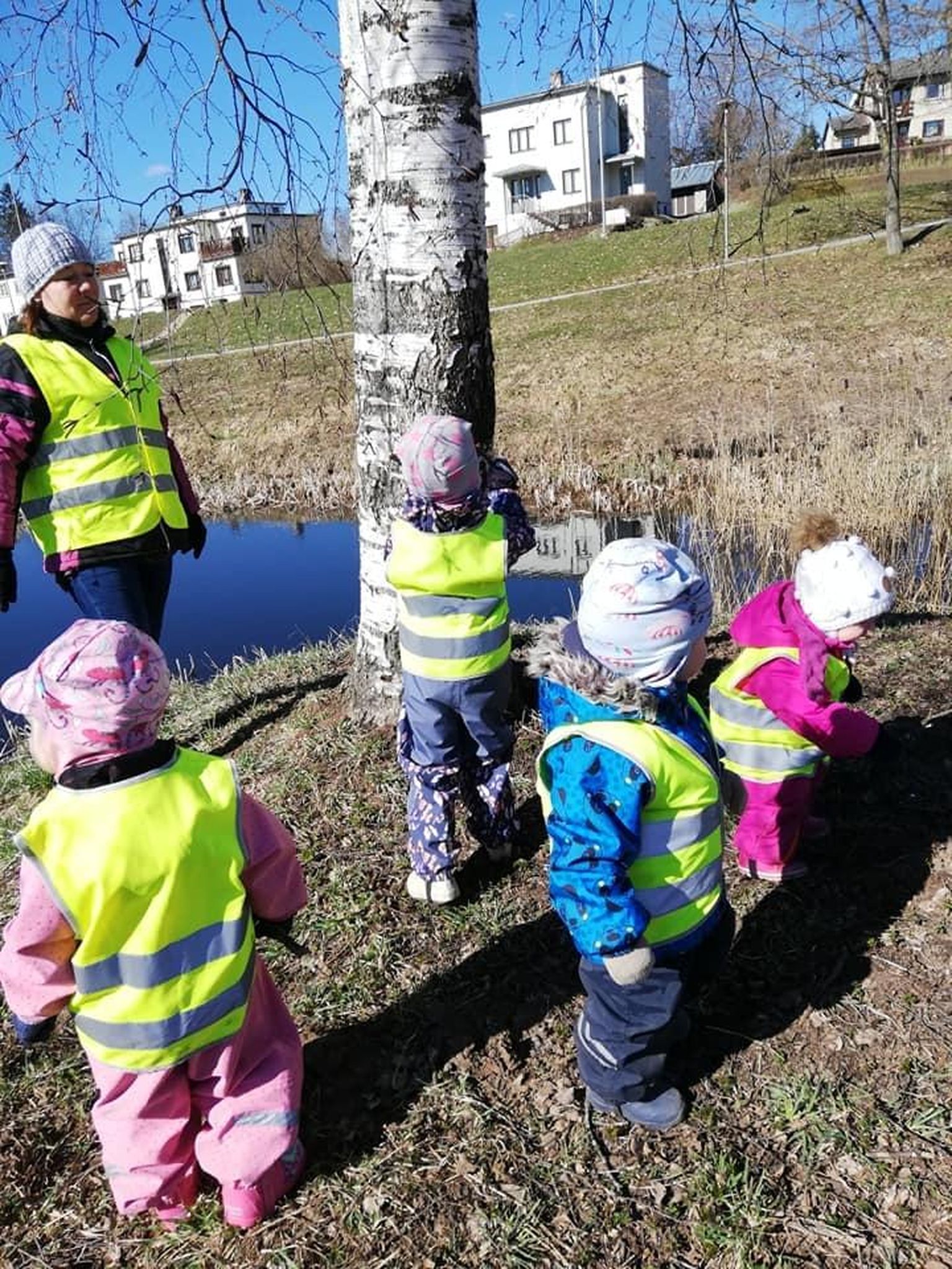 Kukeräädsiku väikelapsed jalutuskäigul.