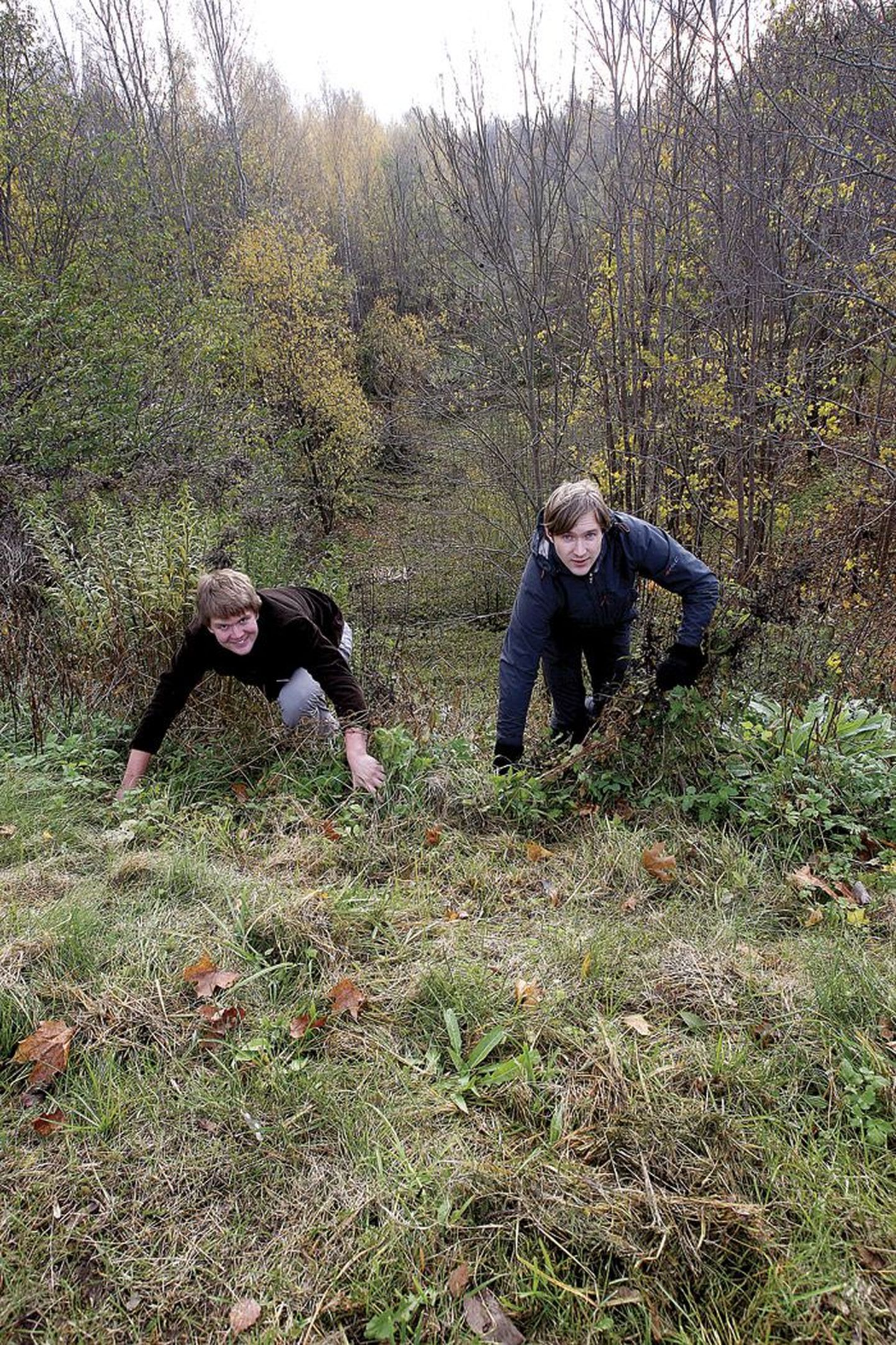 Uue Raadi seikluspargi eestvedajad Mihkel Veike (paremal) ja Ragnar Kekkonen ronivad üles kohas, kust tulevikus kulgeb pargi pikim trossiga laskumine.
