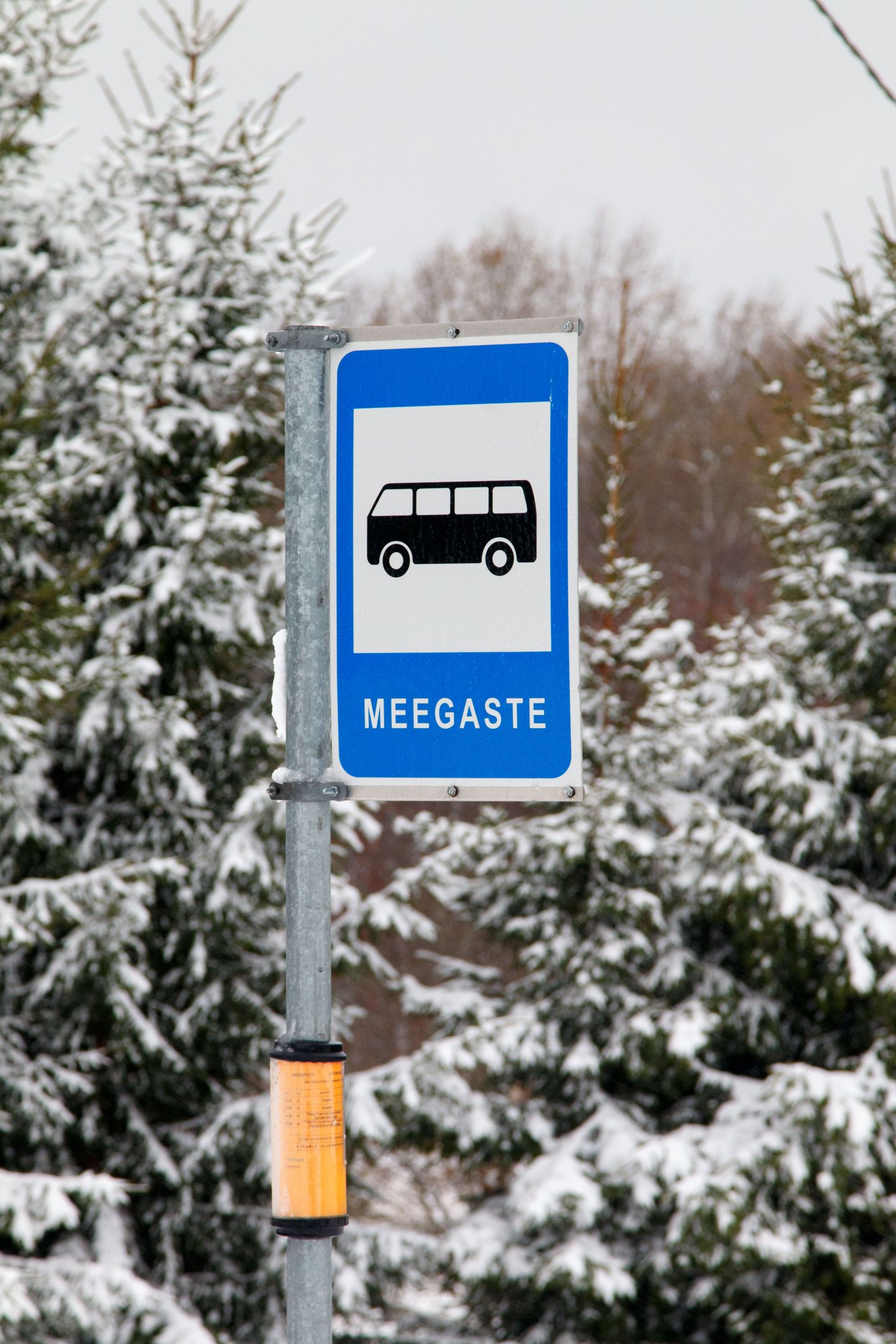 Buss Otepääle ja tagasi käib korra päevas, kohalik rahvas loodab liiklemisel rohkem oma neljarattalistele.