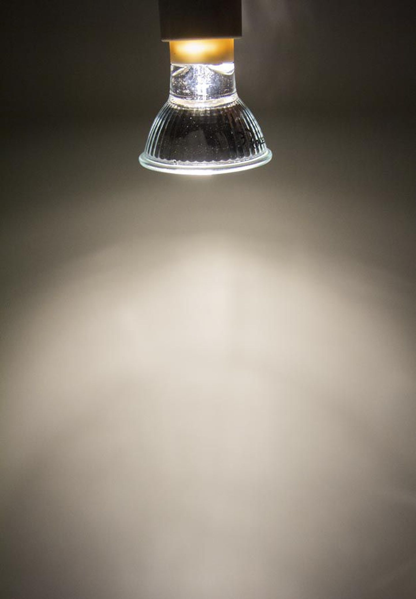 Electrumi ostu-müügijuhi Raivo Sülla sõnul peetakse hõõglambi keskmiseks elueaks 1000 tundi, halogeenlambi eluiga küündib 4000 ja LED-lambi oma 40 000 tunnini.