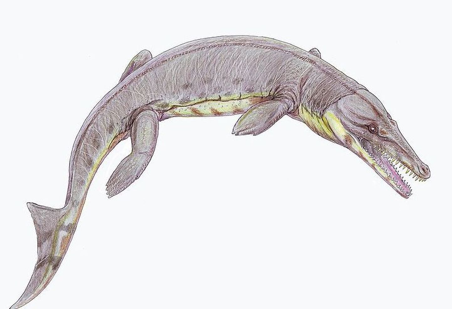 Anthracosuchus balrogus