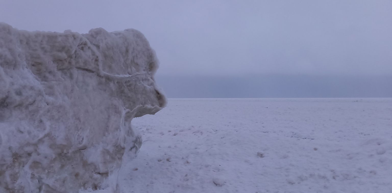 Toila rannas vaatab jäine bernhardiin mere poole.
