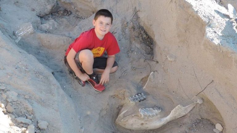 Üheksa-aastane Jude Sparks leidis stegomastodoni luud