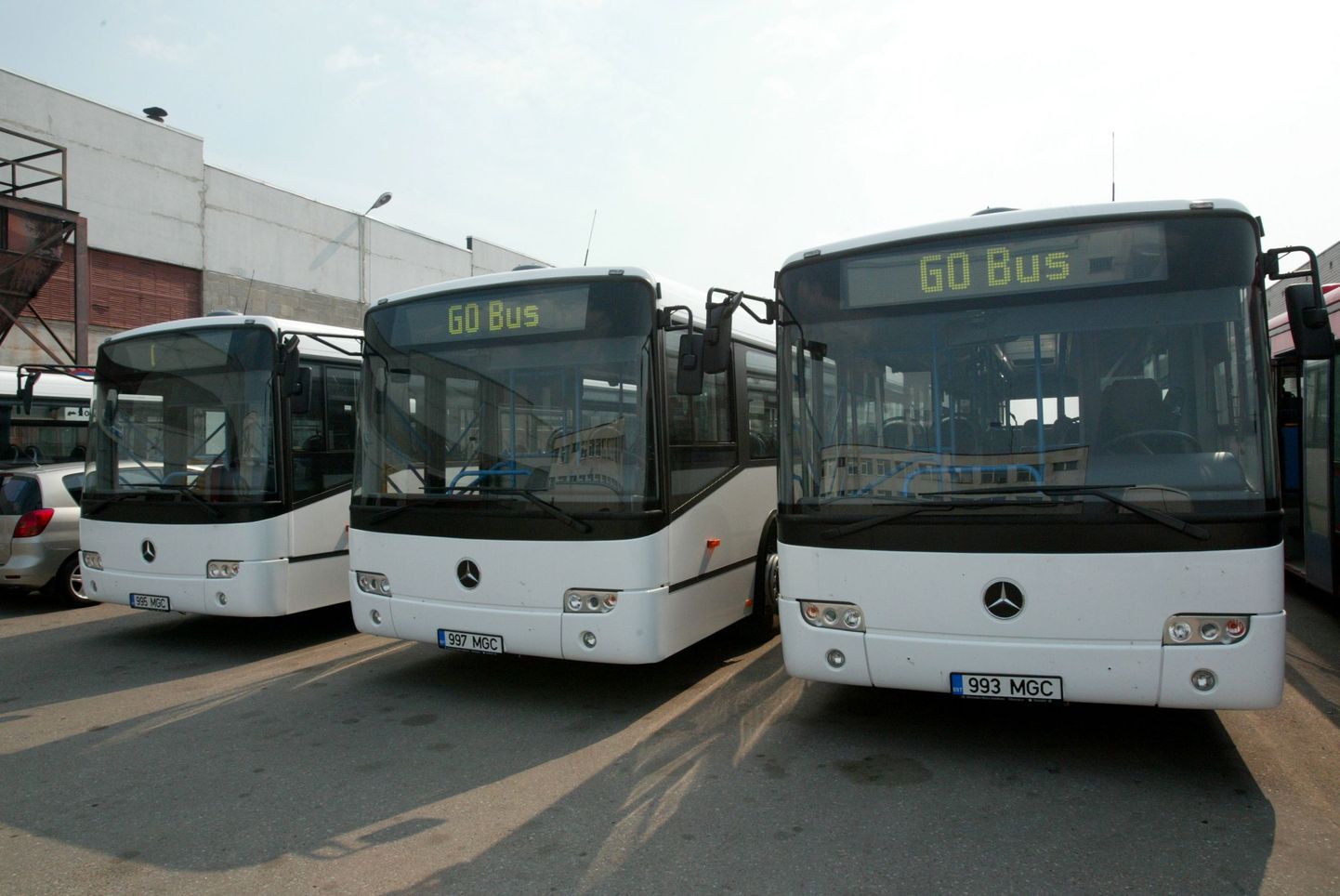 Автобусы GoBus.