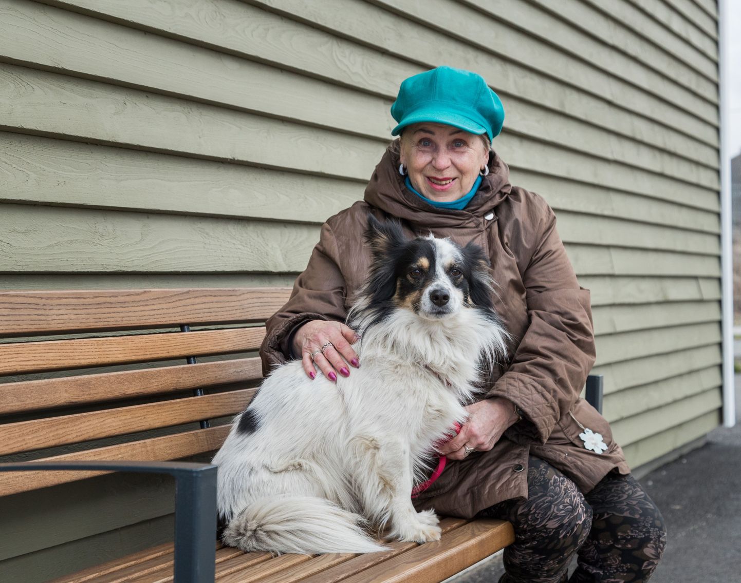 Õismäe proua Valentina Kattai käib iga päev Paljassaares lemmikloomade varjupaigas koertega jalutamas.