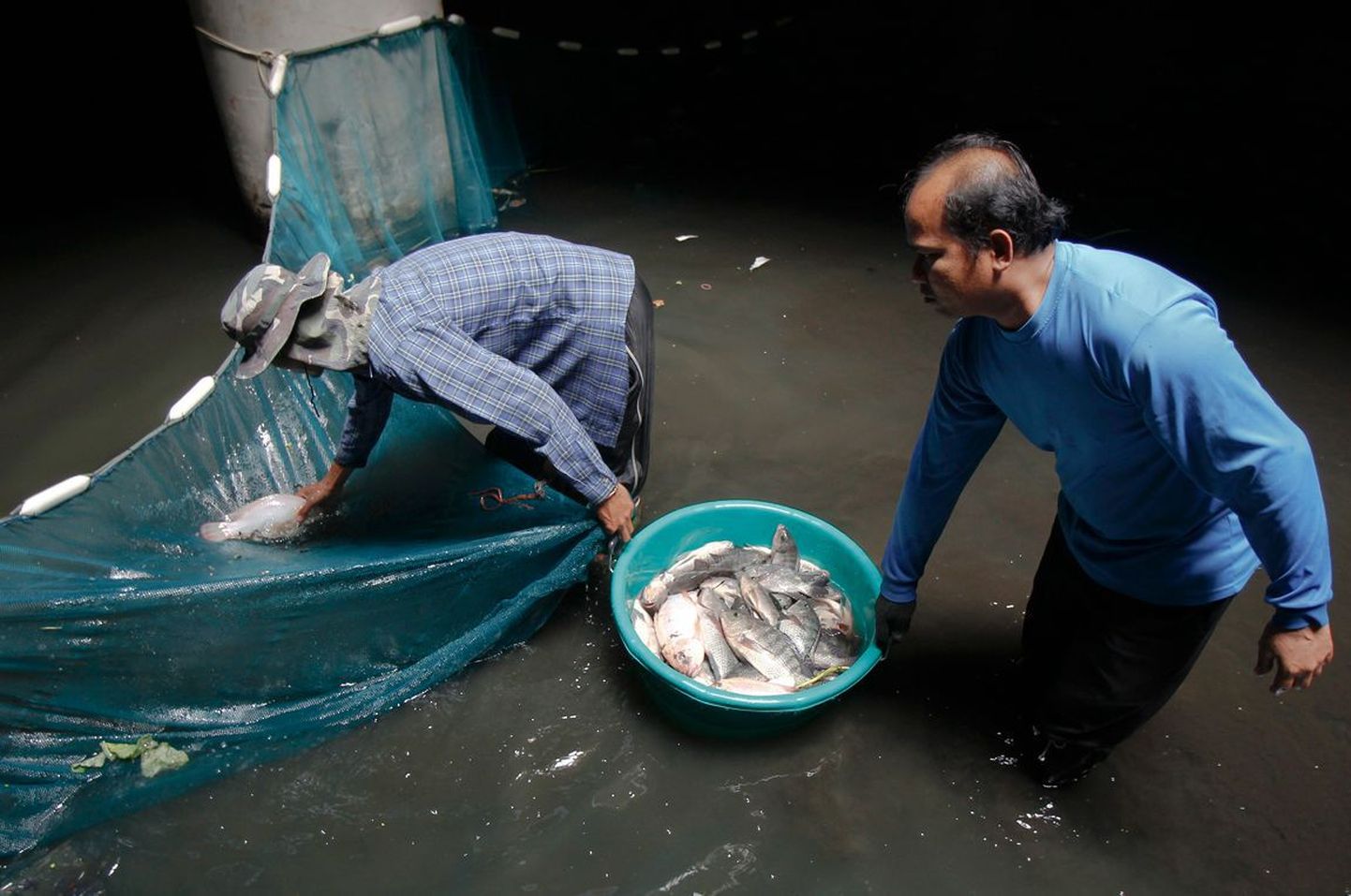 Bangkoki mahajäetud ostukeskuses on kaladega bassein