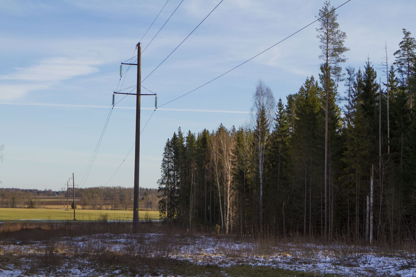 Elektriliinid Lõuna-Eestis