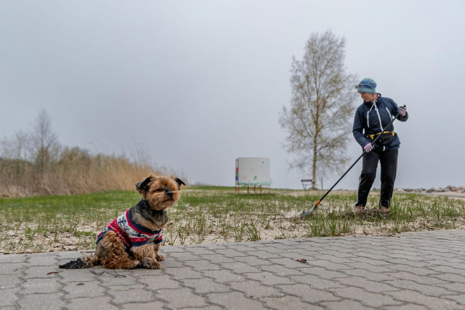 Kablilased tegid talgupäeval korda oma rannaala parklad ja muu avaliku ruumi.