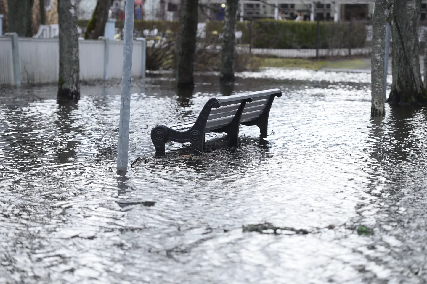 Torm ujutas Pärnu tänavad üle.