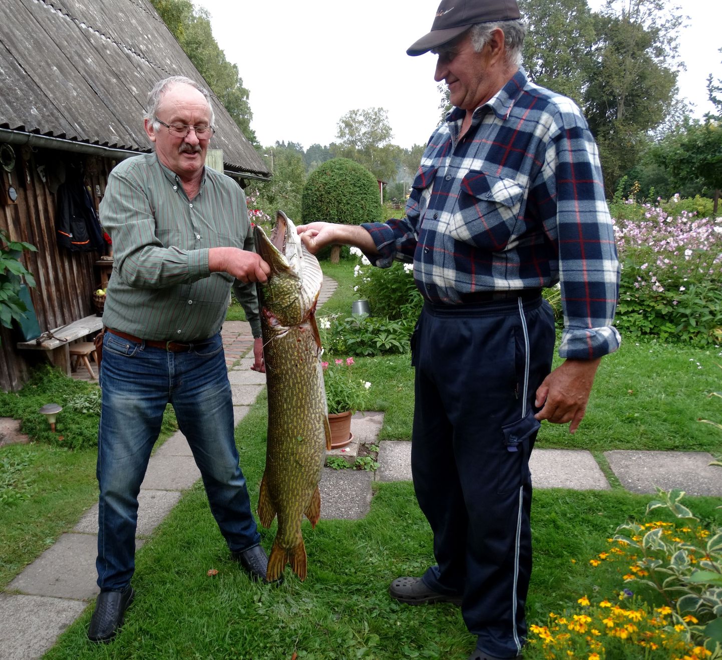 «Ma pole elus enne nii suurt kala oma silmaga näinud, ammugi siis kätte saanud,» ütles õnnelik kalamees Arvo Kaldma (vasakul), kes koos sõbra Alfred Oherjusega tiigist suure havi välja tõmbas.