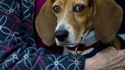 ����: rus.postimees.ee