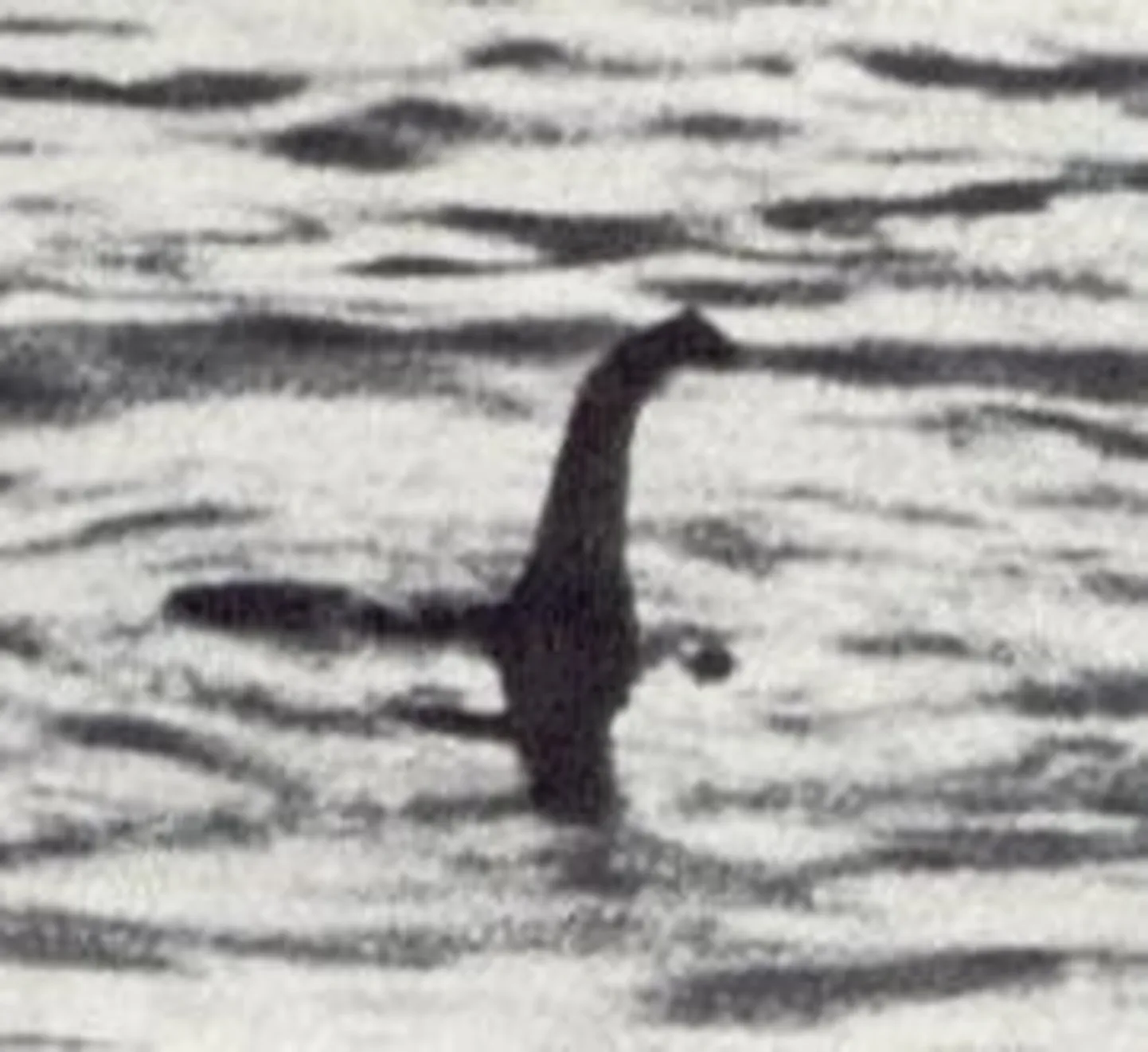 1930. aastatest pärit foto, millel on väidetavalt Loch Nessi koletis