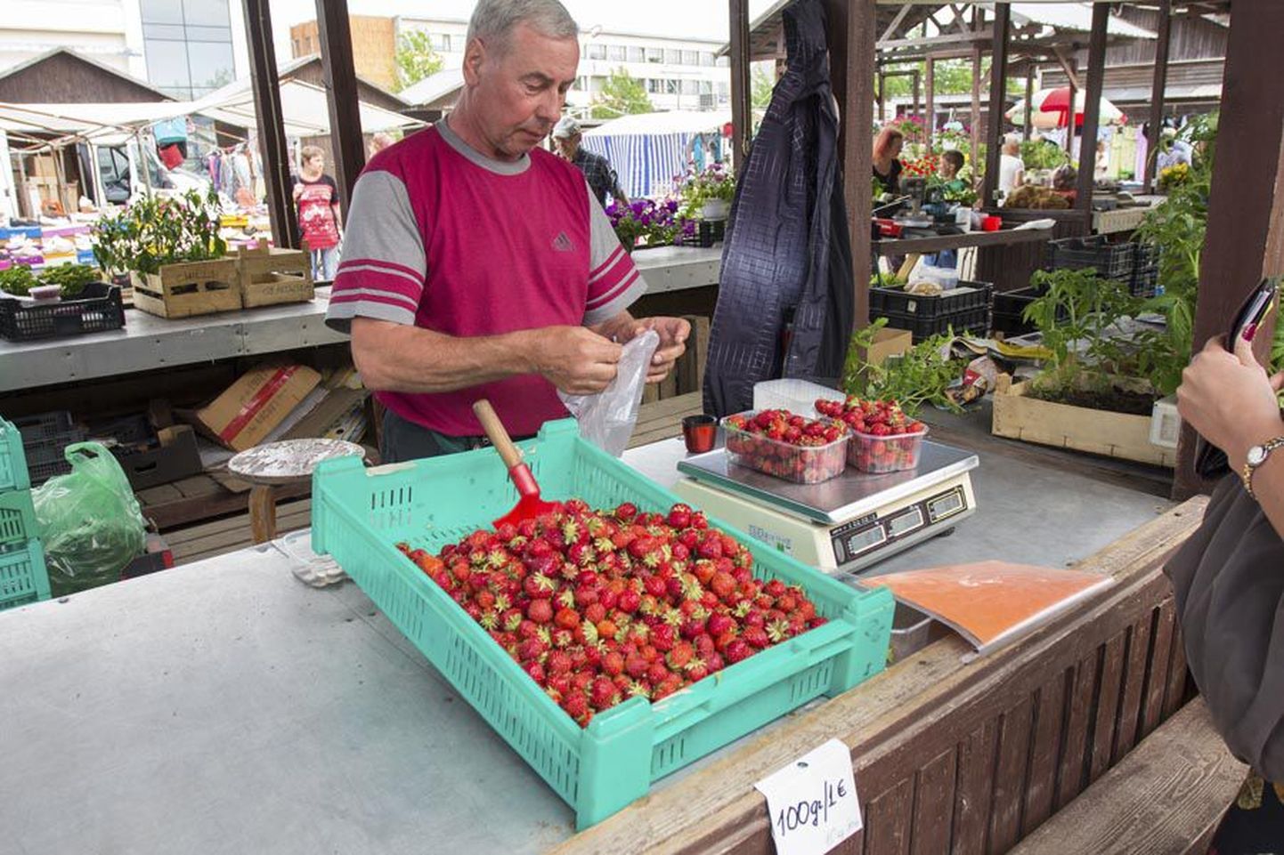 Udsu talu peremees Heino Ilisson müüs eile maasikaid 10-eurose kilohinnaga ning poole kilogrammi kaupa ostjaid leidus pidevalt.