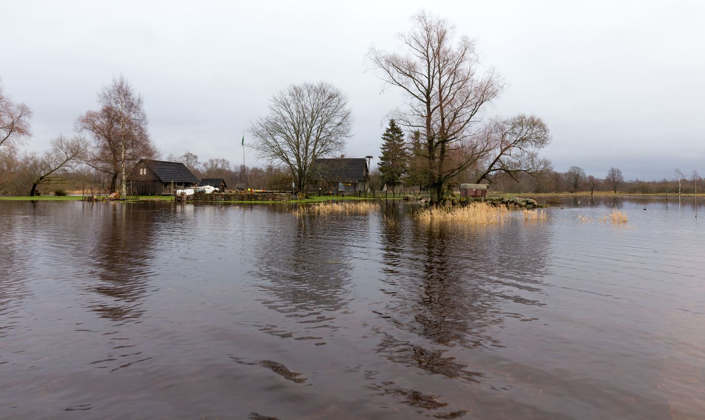 Soomaal on alanud talvine üleujutus, mis kogub lähipäevil veel hoogu. Fotod on tehtud pühapäeval Halliste jõe ääres asuva Sonni talu juures.