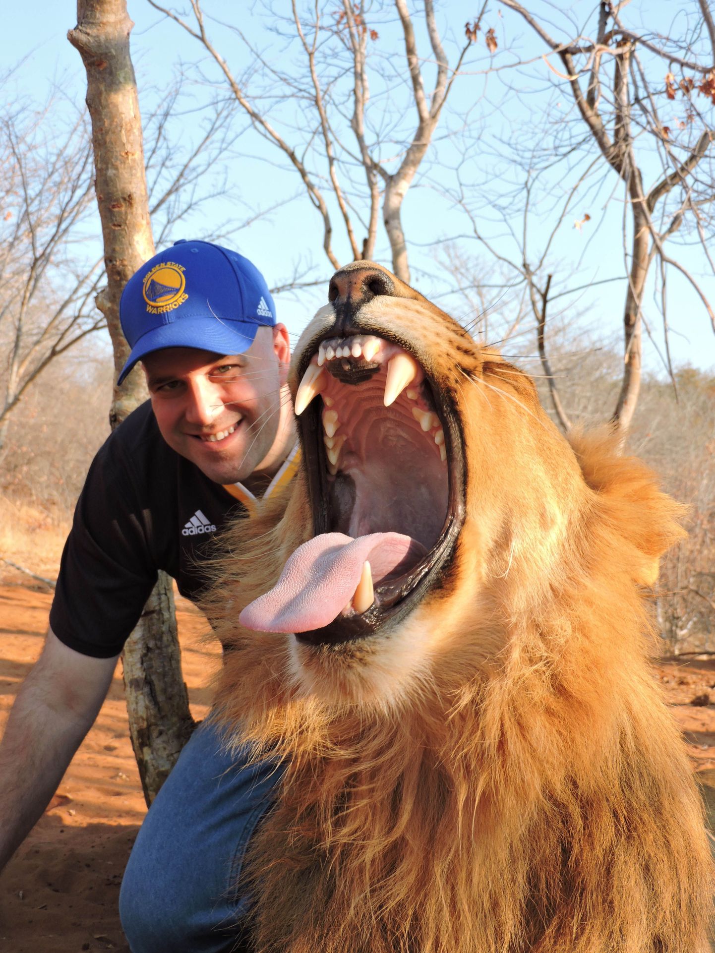 PIC FROM CATERS NEWS - ( PICTURED Ted with Napoleon the lion  ) - This lion gave a man the worlds scariest bear hug. Tourist Ted Papastefan got the chance to have the ultimate up close experience with a lion by posing for a photoshoot with the animal. But the lion decided to make it slightly more intimate. The predator appears to be enjoying a belly rub in the sunshine when Ted, from Illinois, moves his hand away. SEE CATERS COPY