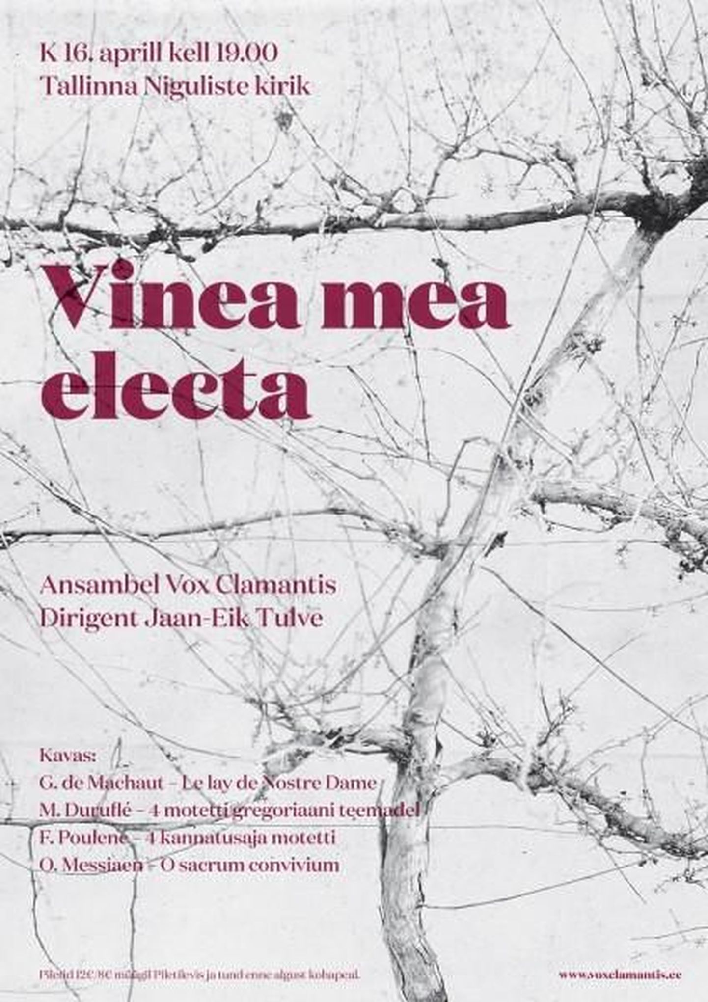 Vox Clamantis, dirigent Jaan-Eik Tulve - Vinea mea electa