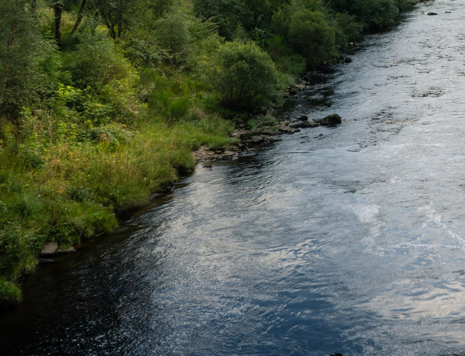 Jõgi. Foto on illustratiivne.
