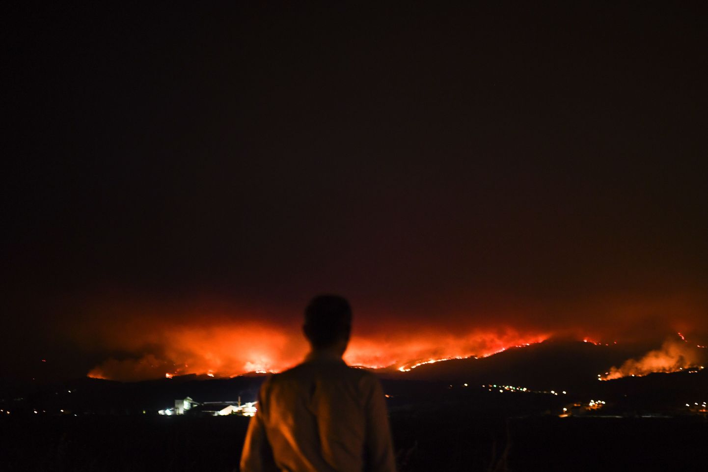 Десятки человек погибли в лесных пожарах в Португалии.
