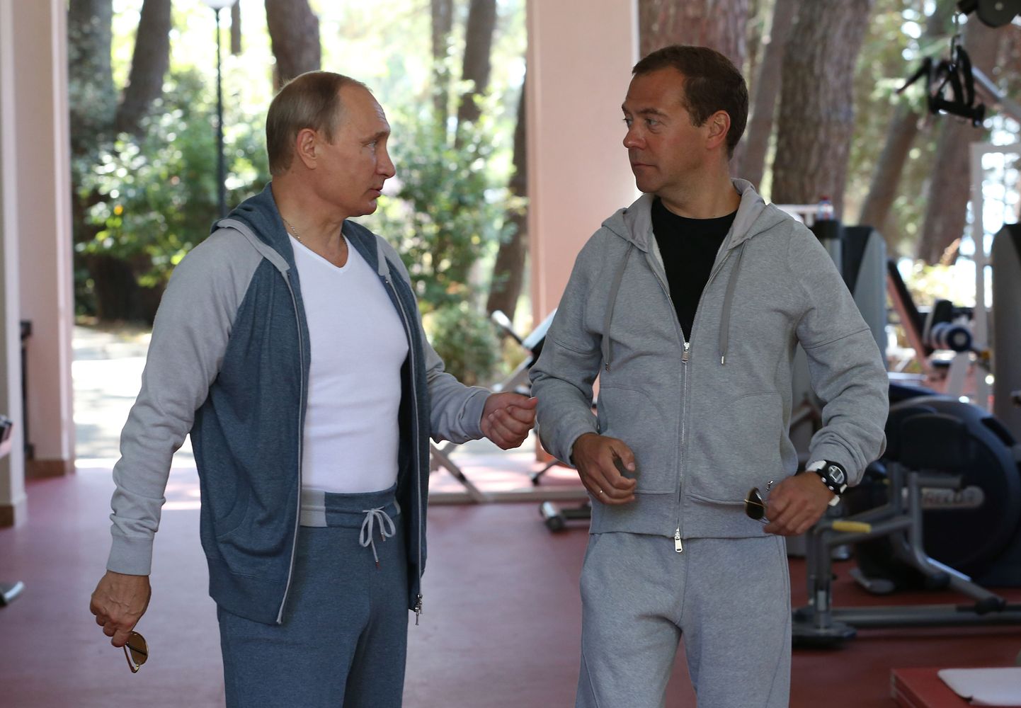 Vladimir Putin, Dmitri Medvedev